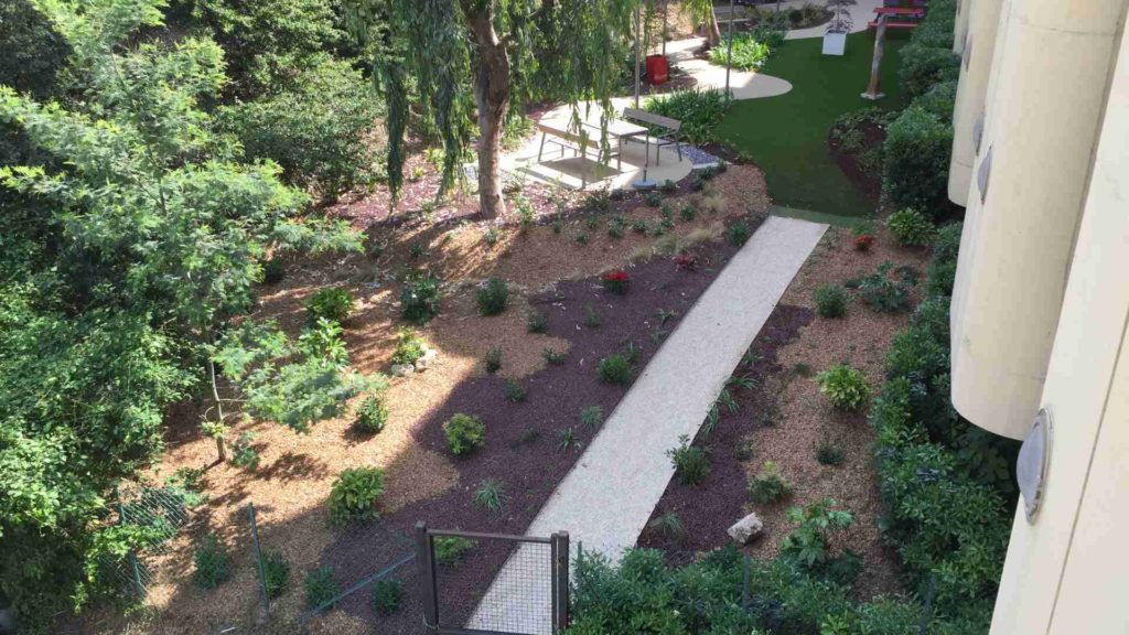 Aménagement d'un jardin à l'hôpital l'Archet II à Nice avec une palette végétale ombre, mi-ombre et un paillage en pouzzolane